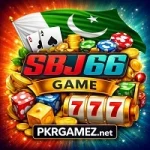 SBJ66 Game
