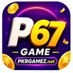 P67 Game