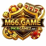 M66 Game